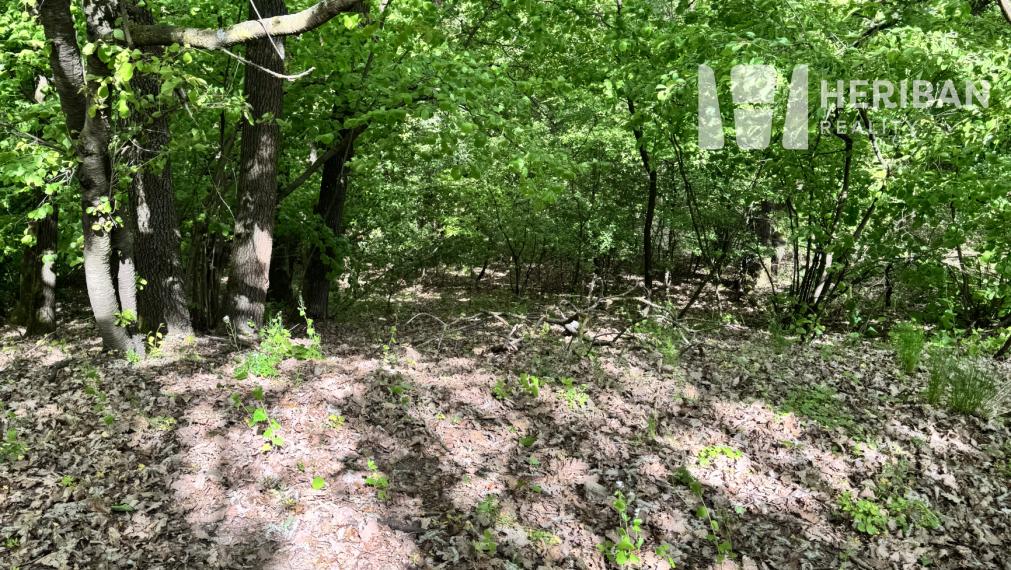 19á pozemok na výstavbu RD, 17m šírka, Nižný Klátov, Košice-okolie