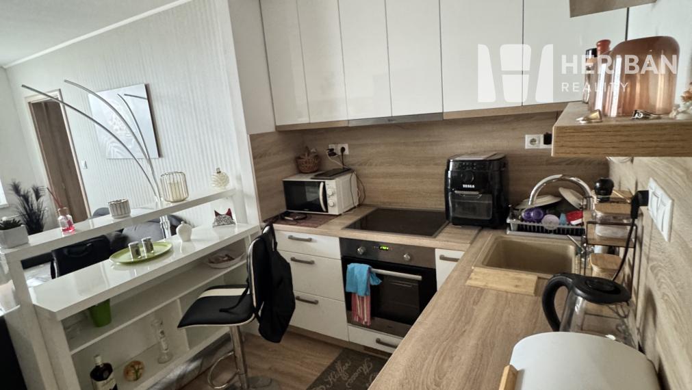 1,5izb.byt s 6m logiou, komplet.rek, Turgenevova ul, KE-Juh
