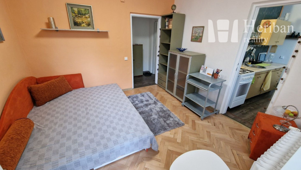 1-izb.byt s logiou,rekonštr.,zariadený,Čapajevova ul,Terasa