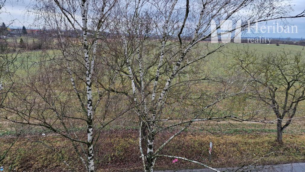 3-izb.byt logiou,70m2, komplet.rek,s výťahom, Veľké Kapušany