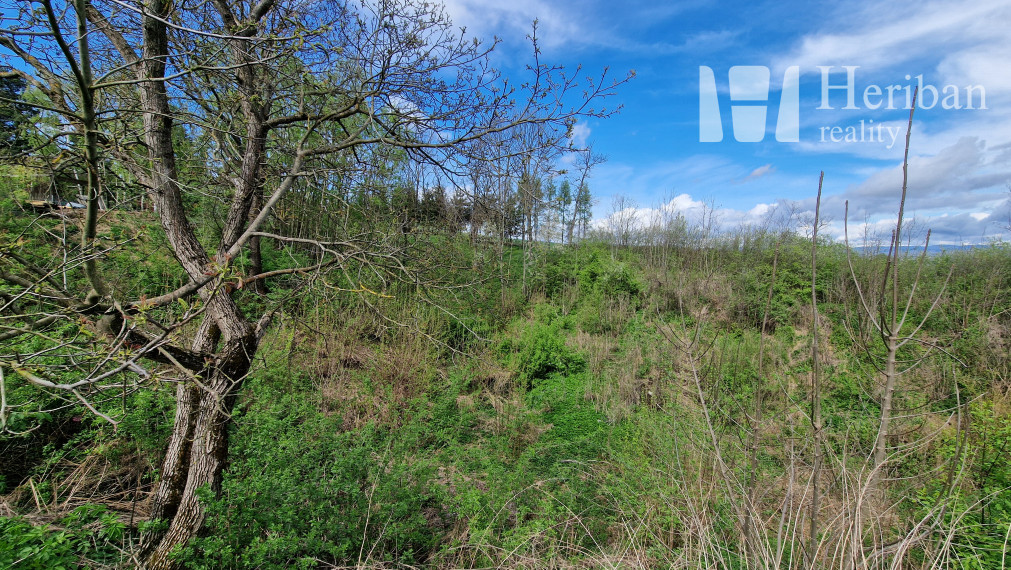 rodinný dom so 16ár.pozemkom, obec Buzica, Košice-okolie