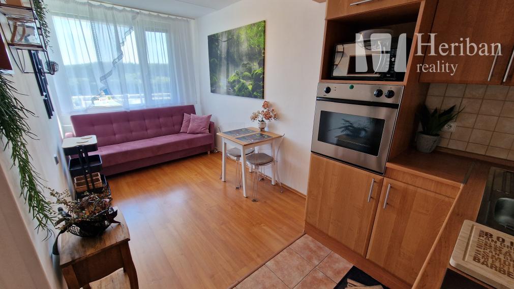 1,5 izb.byt s 6m logiou,42m2, zariadený, Denešova ul, KE-KVP