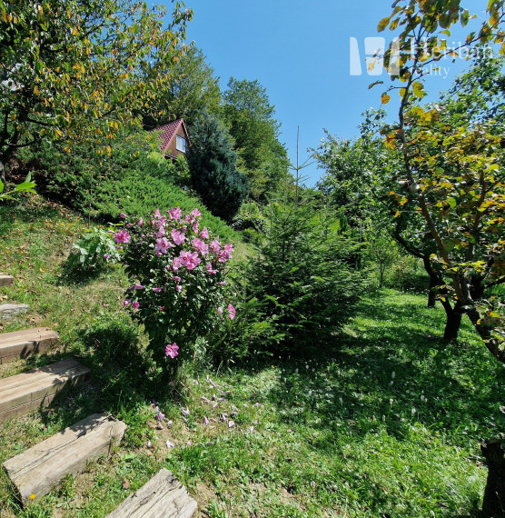 celoročne obývateľná chata + 3,8ár.pozemok, Veľká Lodina