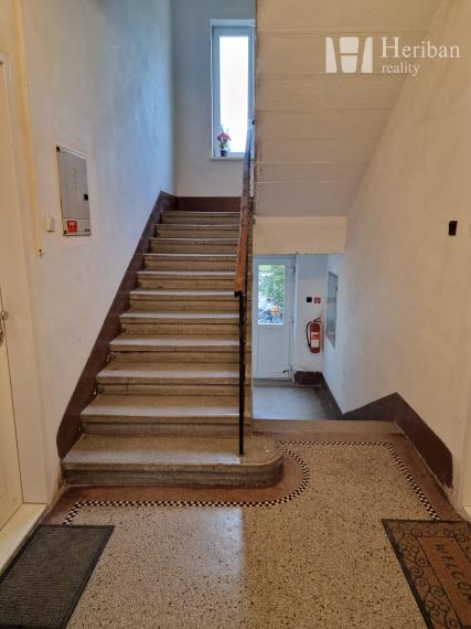 veľký 1-izb.tehl.byt, 52m2, pri Botanickej záhrade, KE-Sever