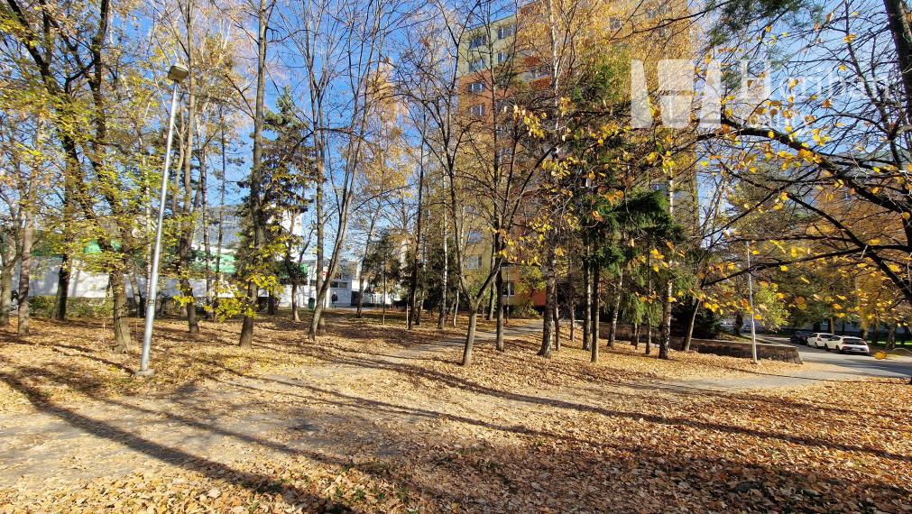 2-izb.byt, 50m2, 2.p/10, Orgovánová ul, Západ-Terasa