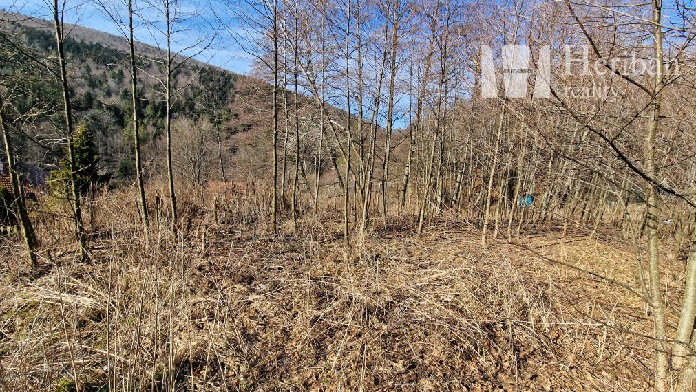 Pozemok, 14,5á, Zlatá Idka, Košice- okolie