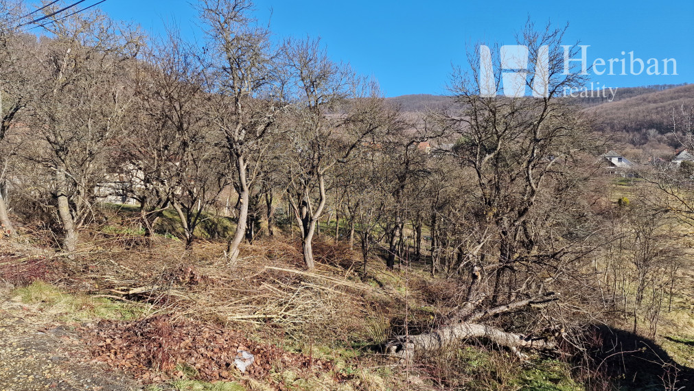 rodinný dom s 6,2ár.pozemkom, obec Hollóháza, Maďarsko