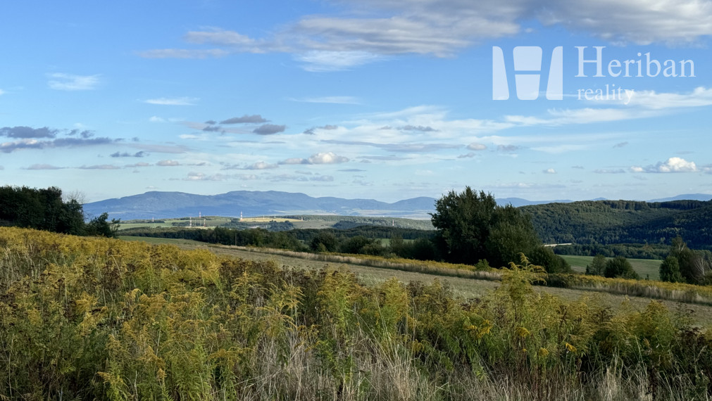 PREDANÉ: Pozemok, 18,5ár, Hýľov, Košice-okolie