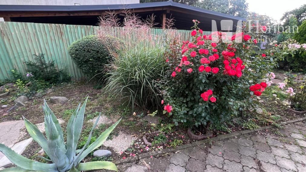 6 izb.dvojdom, 7,5ár pozemok, obec Čaňa, Košice-okolie