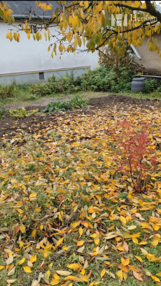 rodinný dom s 12 ár.pozemkom, obec Paňovce, KE-okolie