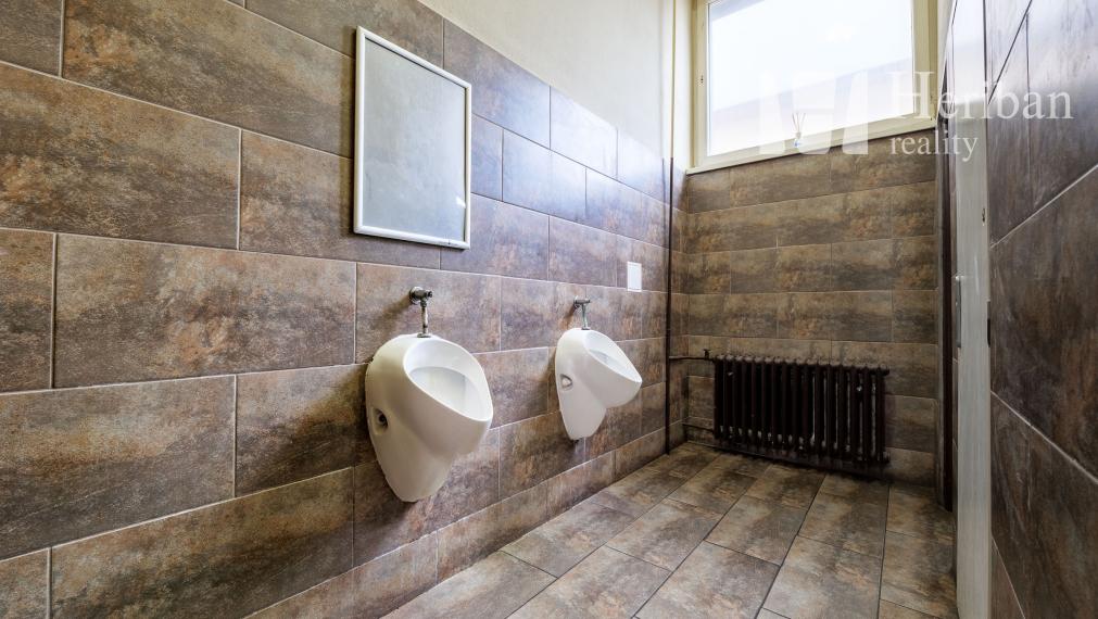 obchod a služby/piváreň a reštaurácia, ul.Nemcovej 28,Merkúr