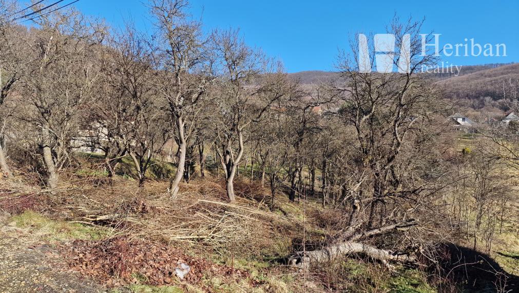 2 domy s 6,2ár.pozemkom, obec Hollóháza, Maďarsko