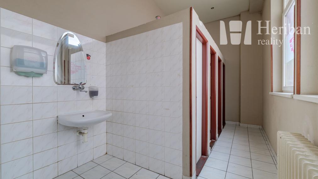 obchod a služby/reštaurácia a piváreň, ul.Nemcovej 28,Merkúr