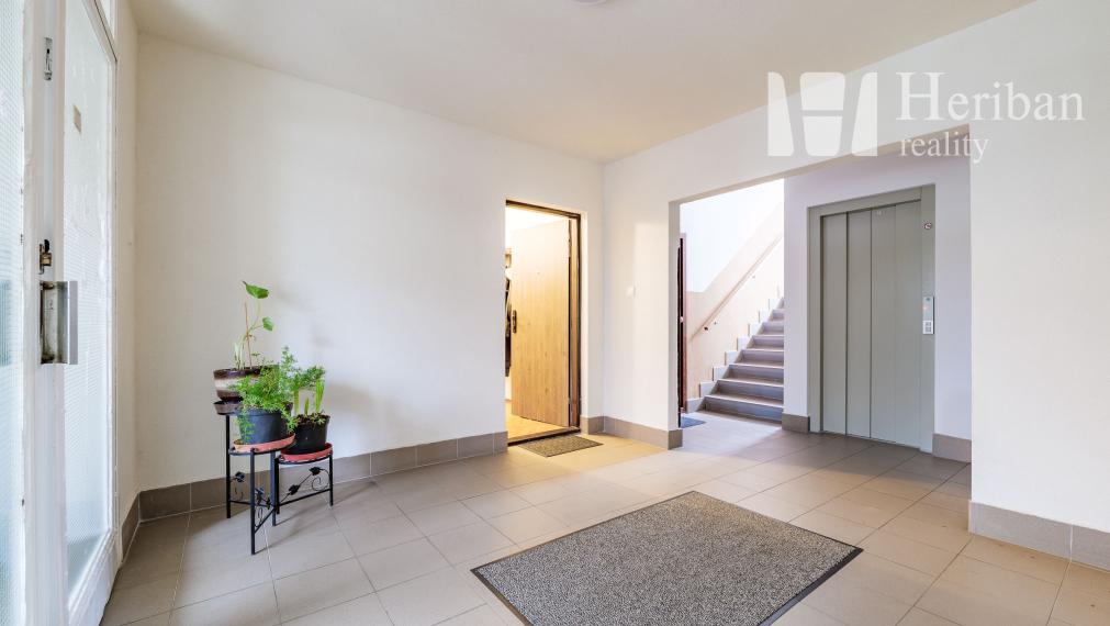 1 izb.byt s loggiou, 38m2, Mikovíniho ul, Západ-Terasa