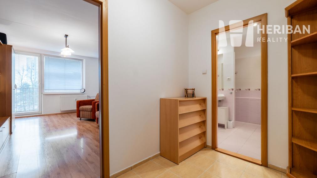 1 izb.byt s logiou, rekonštr, zariadený, Paláriková ul, JUH