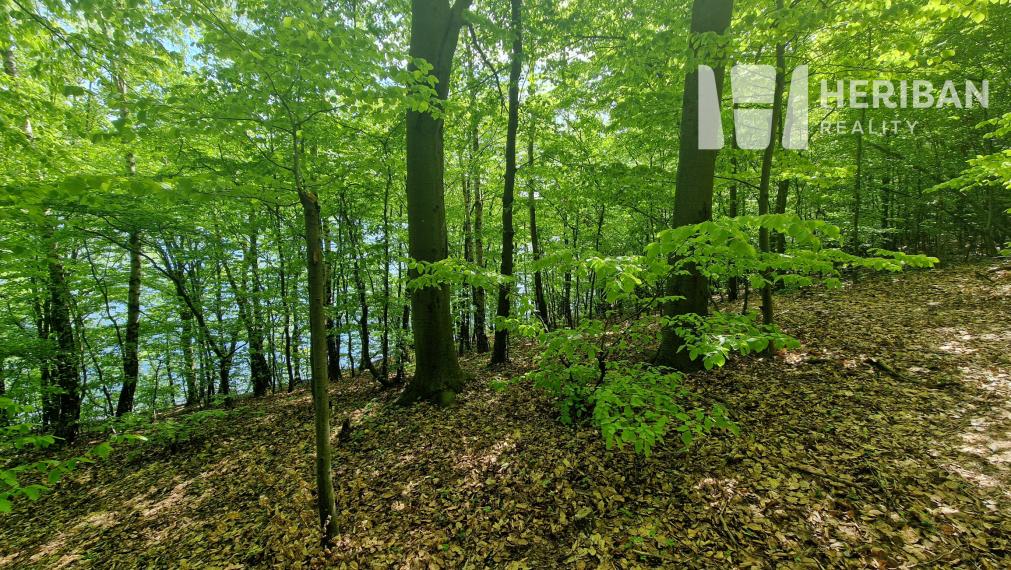 3izb.murovaná chata pri jazere, 21ár.pozemok, Bukovec