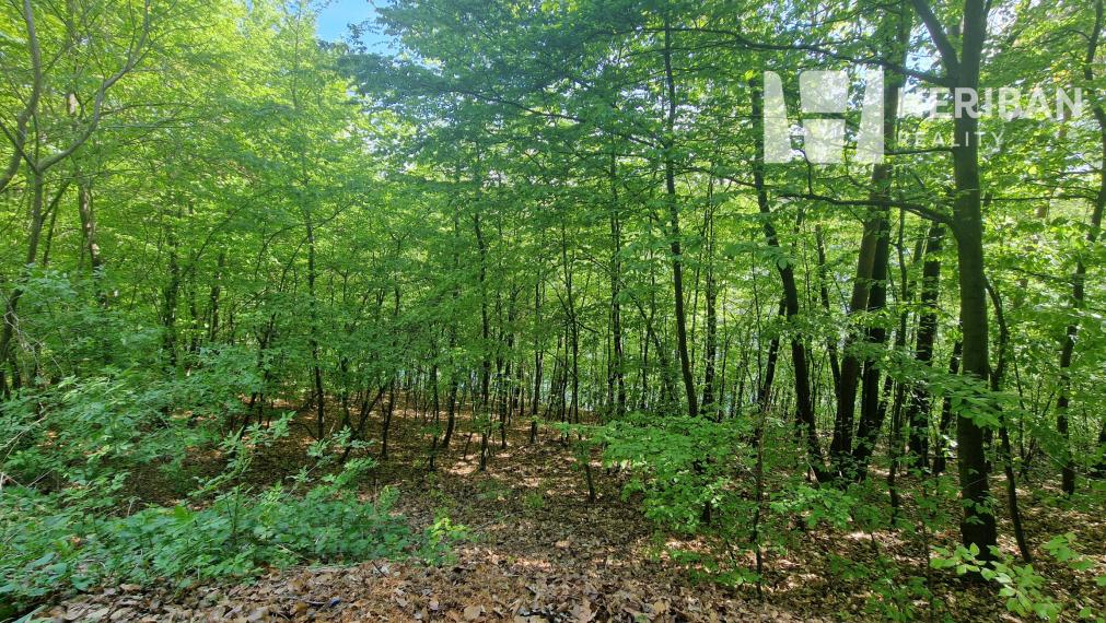 3izb.murovaná chata pri jazere, 21ár.pozemok, Bukovec