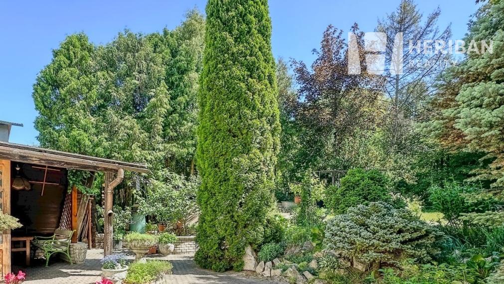 6 izb. rodinný dom, pozemok 700 m2, Sady nad Torysou