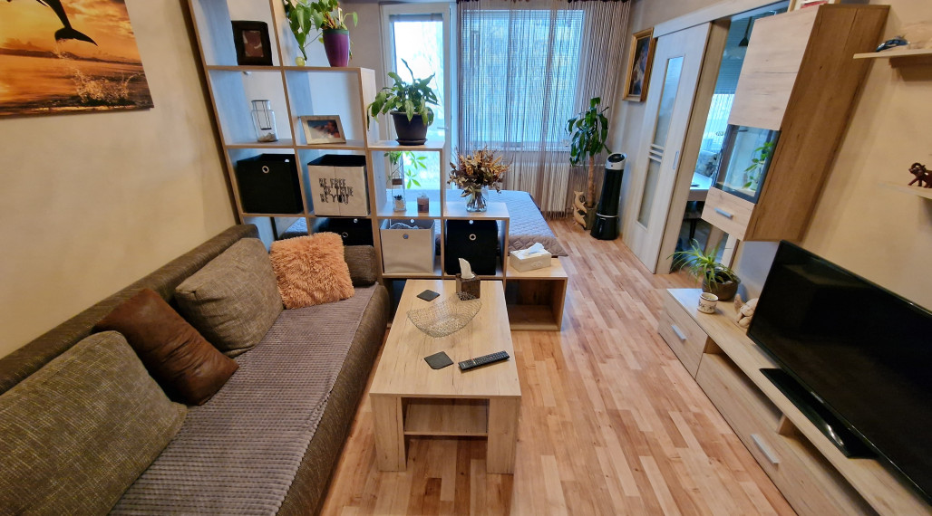 1 izb.byt s logiou,42m2,rek. a zariadený,Maurerova ul, Furča