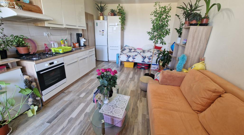 1,5-izb.byt s 2 logiami, komplet.rek., Meteorova ul, Jazero