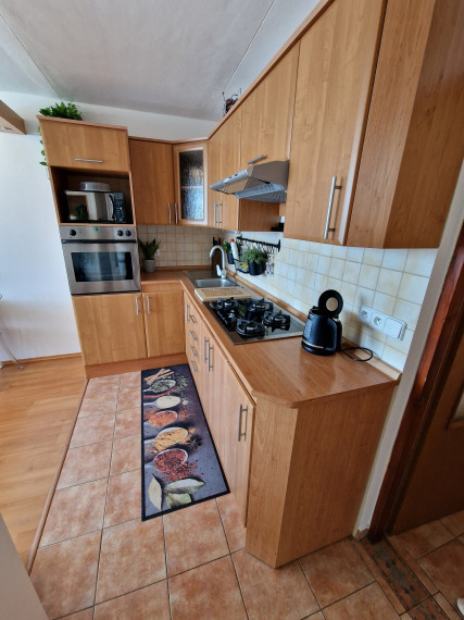 1,5 izb.byt s 6m logiou,42m2, Lidické nám, KE-Furča