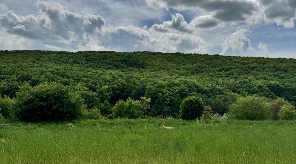19á pozemok na výstavbu RD, 17m šírka, Nižný Klátov, Košice-okolie