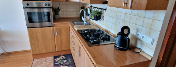 1,5 izb.byt s 6m logiou,42m2, Lidické nám, KE-Furča