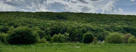 19á pozemok na výstavbu RD, 17m šírka, Nižný Klátov, Košice-okolie