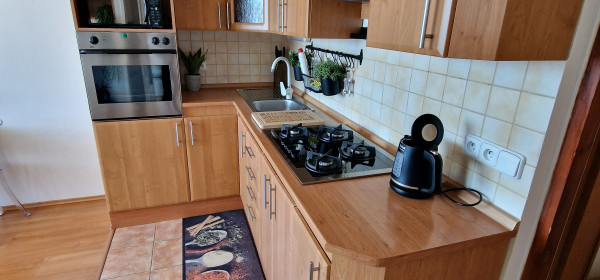 1,5 izb.byt s 6m logiou,42m2, Lidické nám, KE-Furča