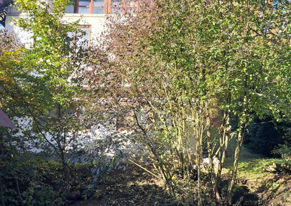 Chata v Nižnom Klátove, Košice-okolie