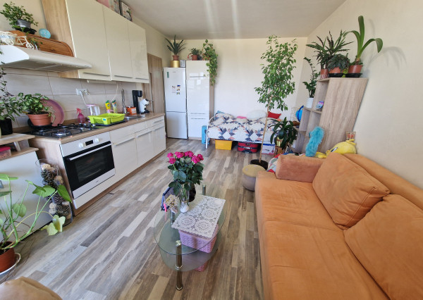 1,5-izb.byt s 2 logiami, komplet.rek., Meteorova ul, Jazero