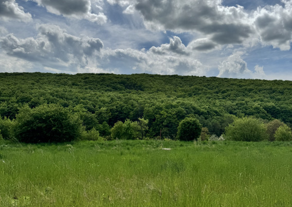 19á pozemok na výstavbu RD, 17m šírka, Nižný Klátov, Košice-okolie